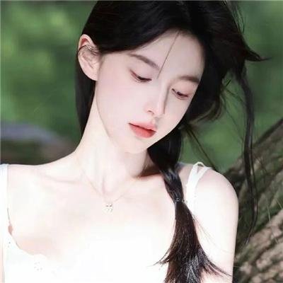 翱翔于天际的夜鹰